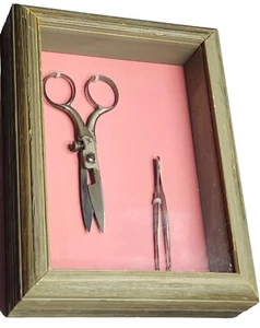 ANTIKE SCHATTENKASTEN KUNST KNOPFLOCHSCHERE & PINZETTE HOLZRAHMEN SCHNEFEL BROS - Bild 1 von 15