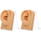  2 Sets Jewelry Display Ears Piercing Model Store Earring Holder Earrings