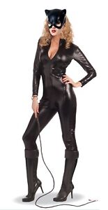 Sleek & Sexy Catwoman Feline Bodysuit Sexy Dress Up Halloween Ladies Costume