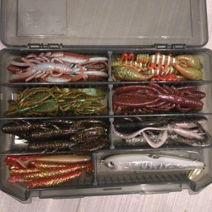 Rockfish - Bild 1 von 1
