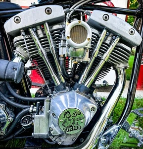 I love Titties & Beer Sexy Evo Shovelhead 2 Hole Timing Cover Harley Davidson - Picture 1 of 3