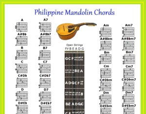 CARTA DE ACORDES DE MANDOLINA FILIPINA - FILIPINO BANDURRIA - Imagen 1 de 3