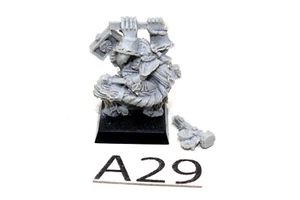 Warhammer Dwarves Warden King A29 - Picture 1 of 1