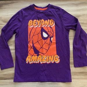 Marvel Spotted Zebra Jungen T-Shirt Small 6 7 blau Spider-Man & Mysterio Grafik - Bild 1 von 17