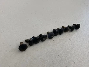 1983-86 Nissan Datsun 720 Truck Front Bumper Black Bolts Hardware Fasteners - Picture 1 of 6