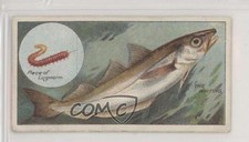 1924 ITC of Canada Fish & Bait Tobacco C11 The Whiting #44 z6d