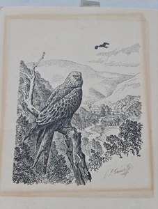 Grabado en madera original firmado Charles Frederick Tunnicliffe RA - pájaro cometa rojo - Imagen 1 de 5