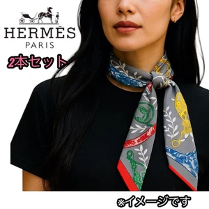 Juego de bufanda de seda HERMES Etriers Remix Twilly gris con caja y etiquetas - Imagen 1 de 12