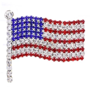 Patriotic Veteran's USA American Flag 4th of July Independence Day Pin Brooch - Picture 1 of 3