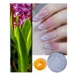 9D Cat Eye Chrome Nail Powder – Chameleon Magnetic Glitter Effect Manicure - Picture 1 of 1