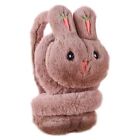 Cartoon Embroidered Carrot Ear Warmers Ear Protection Rabbit Warm Earmuffs