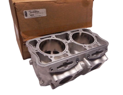 Polaris 800 cilindros RMK PRO ASALTO DRAGÓN 3022201 10 NUEVO FABRICANTE DE EQUIPOS ORIGINALES 2010 Foto 1 de 4