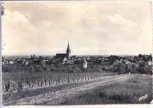 CP 67 Bas-Rhin - Bergheim - Vue générale n&b - Picture 1 of 1