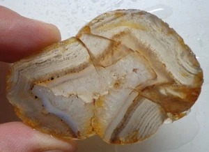 WRG- Montana Agate Slab 25 grams Lapidary Old Stock - Picture 1 of 5