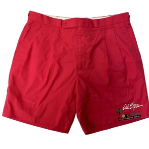 Vtg 90's Pro Celebrity HOT PINK CAL SPAS BILLIARDS Recreational LOGO Golf Shorts - Picture 1 of 7