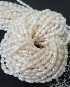 13 inch strand of natural Fresh Water Pearl Oval Smooth 5mm beads. - Picture 1 of 3