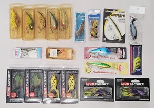 Lote de 20 señuelos de lubina caja completa pesca agua dulce topwater jigs crankbaits asst#70 - Imagen 1 de 11