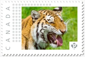 Smile of the TIGER = Picture Postage stamp MNH Canada 2018 [p18-01sn05] - Imagen 1 de 2