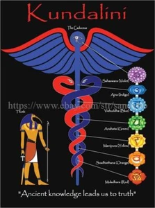 Kundalini chakra yoga zen meditation reiki 14X20 inch paper poster home decor - Picture 1 of 1