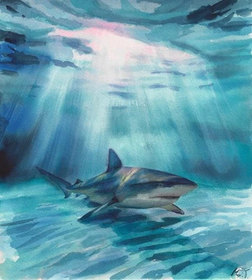 оригинальная картина 29,5 x 32,5 см 256MT произведение искусства акварель акула - Изображение 1 из 4
