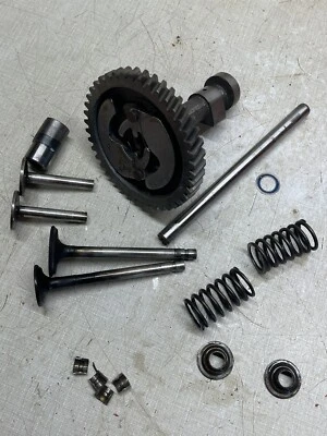 Tractor Wheel Horse 702 1962 Kohler K161 motor árbol de levas y tren de válvulas Foto 1 de 4