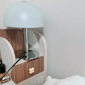Daylight bulb Acorn 22 Table light 5 colors, mood light / Genuine - Picture 1 of 5
