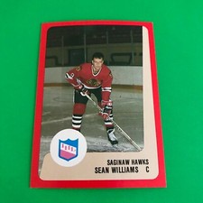 1988-89 ProCards Hockey - Sean Williams - Saginaw Hawks IHL (NM)