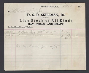 1917 S D Skillman Estación Casa Blanca Nueva Jersey Membrete x4 NJ Líbano Telco - Imagen 1 de 4