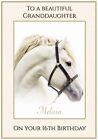 Personalised White Beauty Horse Birthday Card - Lovely !