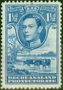 Bechuanaland 1938 1 1/2d Dull Blue SG120 Fine MM - Picture 1 of 1