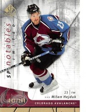 2006-07 SP Authentic Limited #141 Milan Hejduk N /100