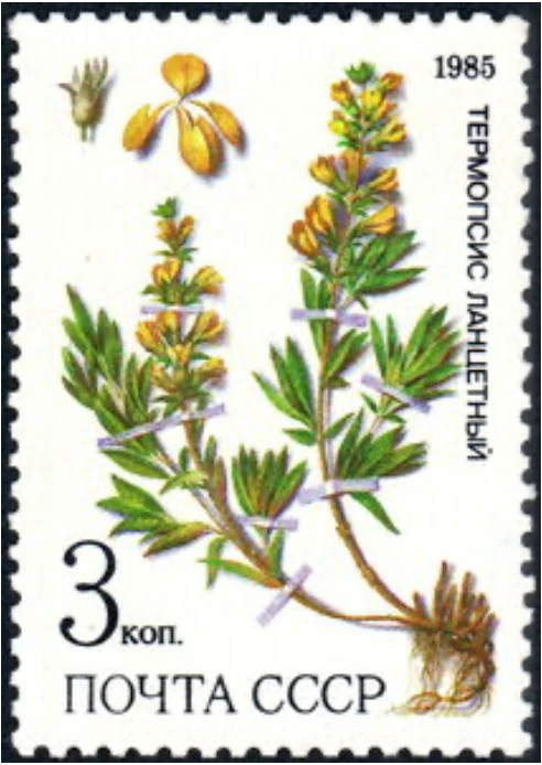 Russia #Mi5529 MNH 1985 Protected Medicinal Siberia Plants Larkspur [5380] - Image 1 of 1