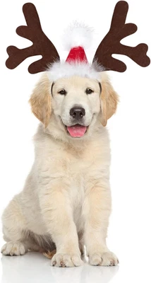 Navidad Perro Reno Cuerno Sombrero Papá Noel Diadema Mediano Grande Mascota Disfraz Conjunto Foto 1 de 4