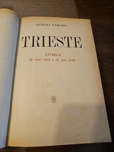 Libro Trieste Storia Di Una Città E Di Una Fede 1945 Tamaro - Foto 1 di 10
