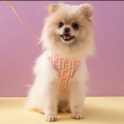 LUXURY HARNESS  + LEASH SET.  Designer - Image 1 of 4