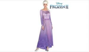 Adult Frozen 2 Disney “ELSA” Halloween Costume Long Dress, Size Adult Large10-12 - Picture 1 of 7