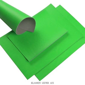 Rindsleder Neon Grün 2,7 mm Dickleder A4 Stück Echt Leder Croupon 16 - Bild 1 von 1