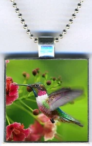Hummingbird Lover Jewelry Colorful Square Pendant Charm Necklace w/24" Chain NEW - Picture 1 of 1