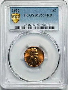 1956 P Small Cents Lincoln Wheat Penny PCGS MS-66+ Plus RD Red - Picture 1 of 3