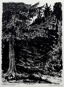 Hans Venter Wald Landschaft Erzgebirge Sudetenland Original 1924 - Picture 1 of 2