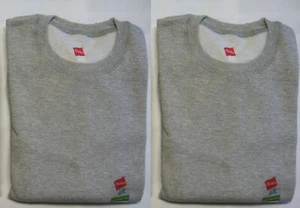 Lot of 2 Hanes Just4Fun Youth Boys Fleece Crewneck Grey Sweatshirts L 12/14 NWT - Picture 1 of 2