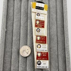 Lot Set Of 8 Coastal Maine District Elks Club Lodges BPOE Cluster Pin Pinback - Picture 1 of 5