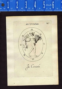 Autumn, Basket of Harvest & Goose - Leonardo Agostini-Battista -1685 Engraving - Picture 1 of 1