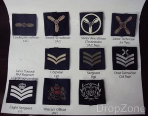 RAF Royal Air Force Rank Slides Assorted Cpl, LAC,FS, WO,SGT, SAC, ATC - Picture 1 of 11