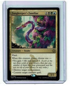 Fangkeeper's Familiar - Tarkir Dragonstorm - Magic the Gathering - Imagen 1 de 5