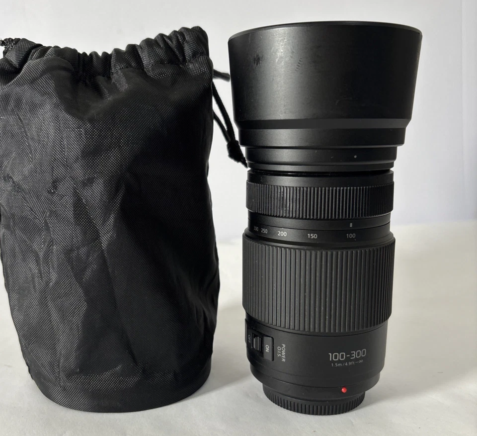 Panasonic LUMIX G VARIO 100-300mm F/4-5.6 Power O.I.S. Lente zoom con tapas y bolsa Foto 1 de 4