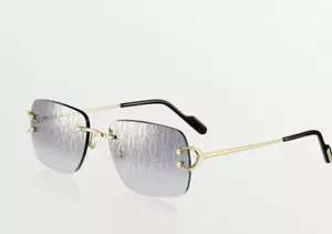 Cartier Sunglasses Signature C Big C New Model Monogram Factory Lenses Gray Blue - Picture 1 of 11