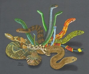 SNAKES NEW-Copperhead Diamondback Coral Herpetology Reptiles Nature Kids T shirt - Picture 1 of 4