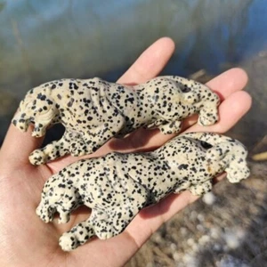 1PC 3'' Natural Dalmatian Jasper Leopard Quartz Energy Decoration Gift Sculpture - Picture 1 of 9