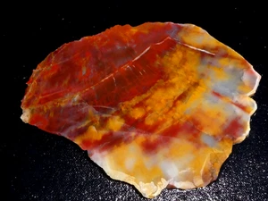 Versteinerte Holzplatte - 6 3/8" x 4 3/4" - grob - lapidare Verkabelung - Display - Bild 1 von 3